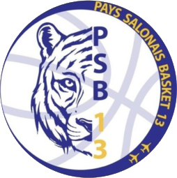 Logo Pays salonais basket 13